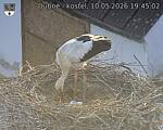 Capi_Dubne_20260510_194502.jpg