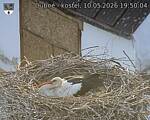 Capi_Dubne_20260510_195004.jpg
