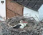 Capi_Dubne_20260510_204003.jpg