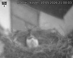 Capi_Dubne_20260510_210003.jpg