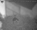 Capi_Dubne_20260510_212003.jpg