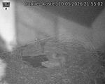 Capi_Dubne_20260510_215502.jpg