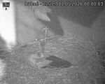 Capi_Dubne_20260511_000003.jpg