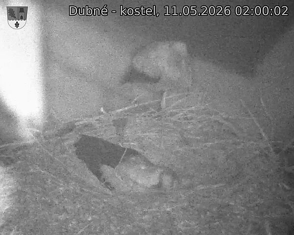 preload