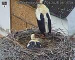 Capi_Dubne_20260511_063504.jpg