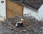 Capi_Dubne_20260511_090002.jpg