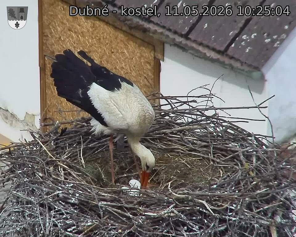 preload