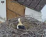 Capi_Dubne_20260511_103003.jpg