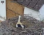 Capi_Dubne_20260511_104003.jpg