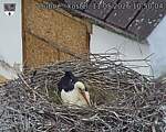 Capi_Dubne_20260511_105004.jpg