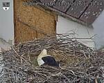 Capi_Dubne_20260511_111005.jpg