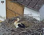 Capi_Dubne_20260511_114005.jpg