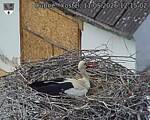 Capi_Dubne_20260511_121502.jpg