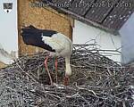Capi_Dubne_20260511_122003.jpg