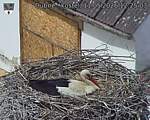 Capi_Dubne_20260511_122503.jpg