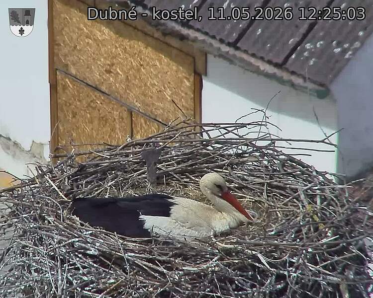 preload