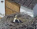 Capi_Dubne_20260511_125503.jpg