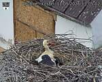 Capi_Dubne_20260511_130502.jpg