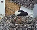 Capi_Dubne_20260511_131004.jpg