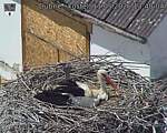 Capi_Dubne_20260511_134004.jpg