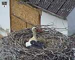Capi_Dubne_20260511_142003.jpg