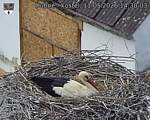 Capi_Dubne_20260511_143003.jpg