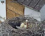 Capi_Dubne_20260511_143502.jpg