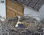 Capi_Dubne_20260511_145003.jpg