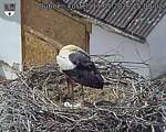 Capi_Dubne_20260511_150002.jpg