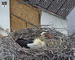 Capi_Dubne_20260511_151503.jpg