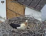 Capi_Dubne_20260511_152003.jpg