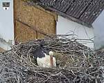 Capi_Dubne_20260511_152503.jpg
