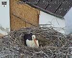 Capi_Dubne_20260511_154003.jpg