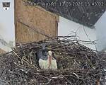 Capi_Dubne_20260511_154502.jpg