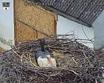 Capi_Dubne_20260511_161004.jpg