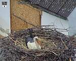 Capi_Dubne_20260511_161504.jpg