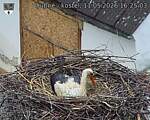 Capi_Dubne_20260511_162503.jpg