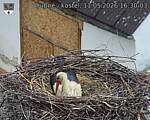 Capi_Dubne_20260511_163003.jpg