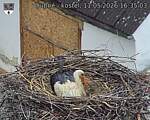Capi_Dubne_20260511_163503.jpg