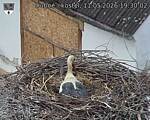 Capi_Dubne_20260511_193002.jpg