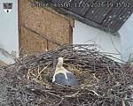 Capi_Dubne_20260511_193502.jpg