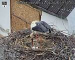 Capi_Dubne_20260511_195003.jpg