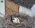 Capi_Dubne_20260511_201003.jpg
