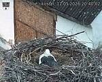 Capi_Dubne_20260511_204002.jpg