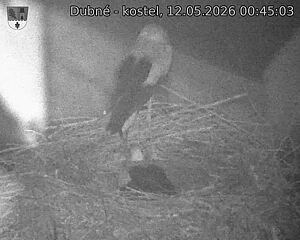 preload