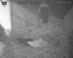 Capi_Dubne_20260512_005502.jpg