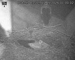 Capi_Dubne_20260512_010002.jpg