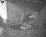 Capi_Dubne_20260512_021003.jpg