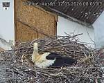 Capi_Dubne_20260512_080503.jpg