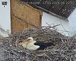 Capi_Dubne_20260512_082002.jpg